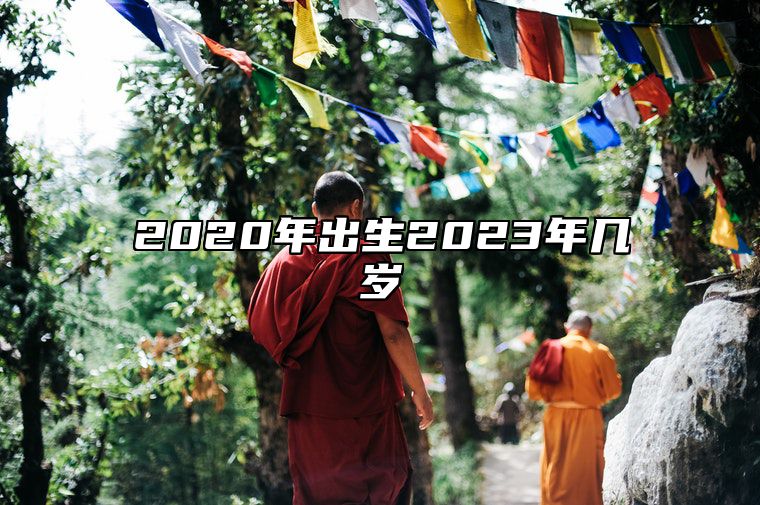 2020年出生2023年几岁 属鼠人命运解析