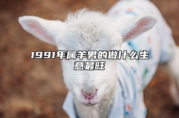 1991年属羊男的做什么生意最旺 1991年属羊男适合做什么生意