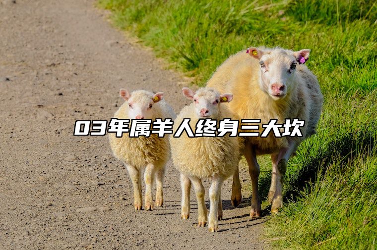 03年属羊人终身三大坎 03年属羊一生几个劫难