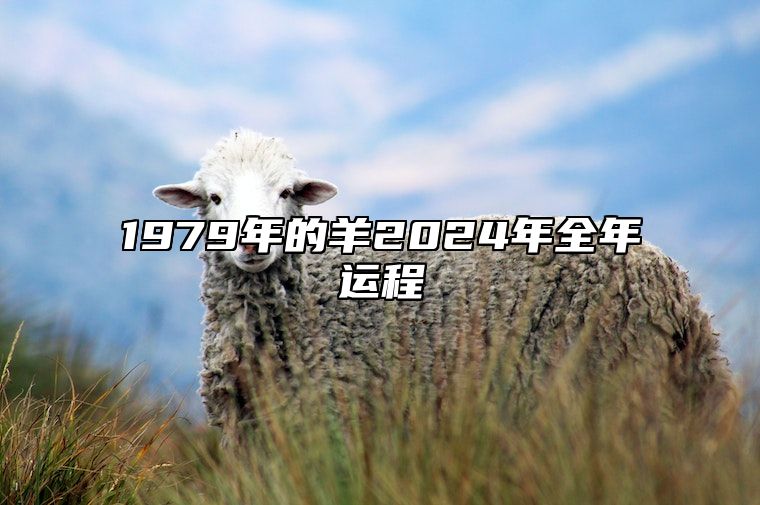 1979年的羊2024年全年运程 79年的羊2024年的运程