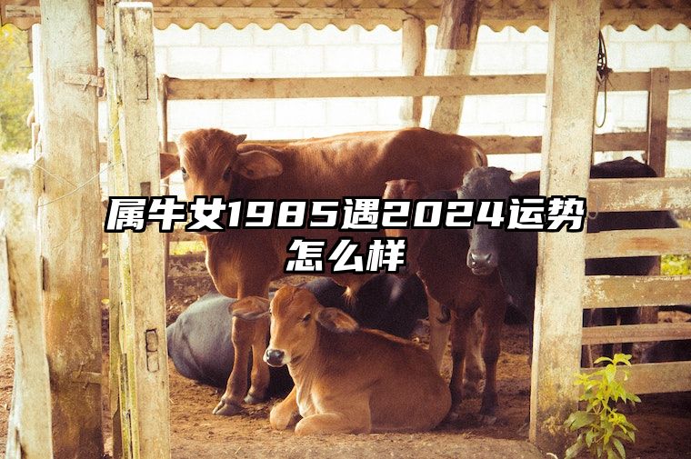 属牛女1985遇2024运势怎么样 1985属牛女的在2023年运气