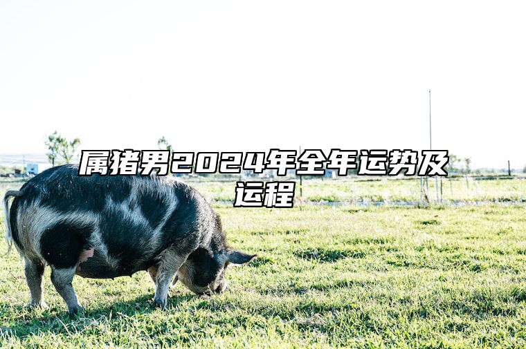 属猪男2024年全年运势及运程 属猪男2024年全年运势及运程83