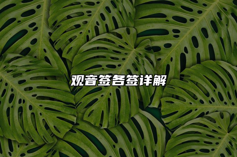 去庙里抽签观音灵签最好的一签是什么，观音签各签详解