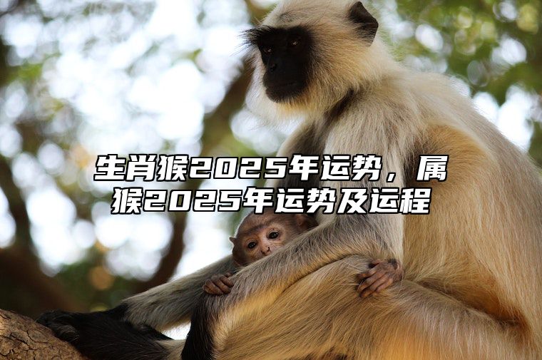 生肖猴2025年运势，属猴2025年运势及运程 