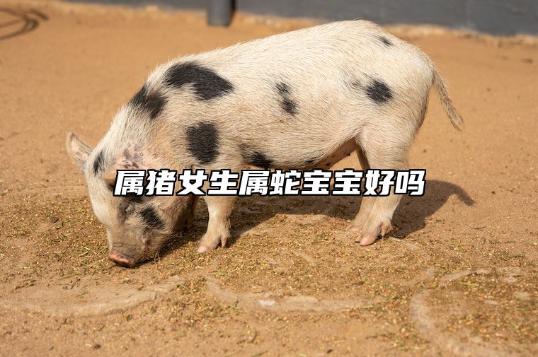 属猪女生属蛇宝宝好吗 属蛇女生个猪宝宝好吗