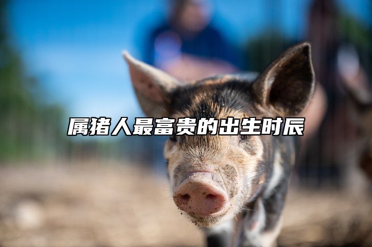属猪人最富贵的出生时辰 属猪上等命出生时辰