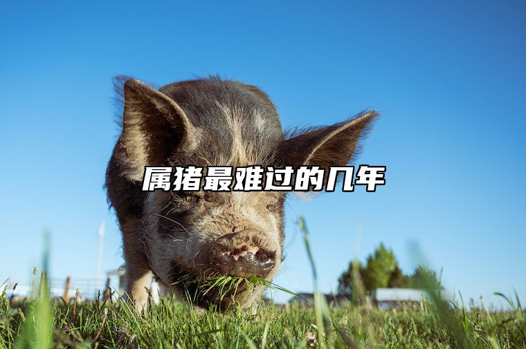 属猪最难过的几年 属猪人几几年的命最苦