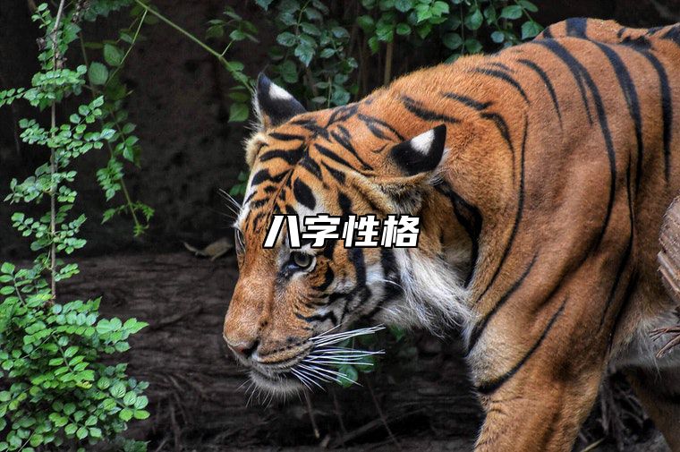 生辰八字测性格