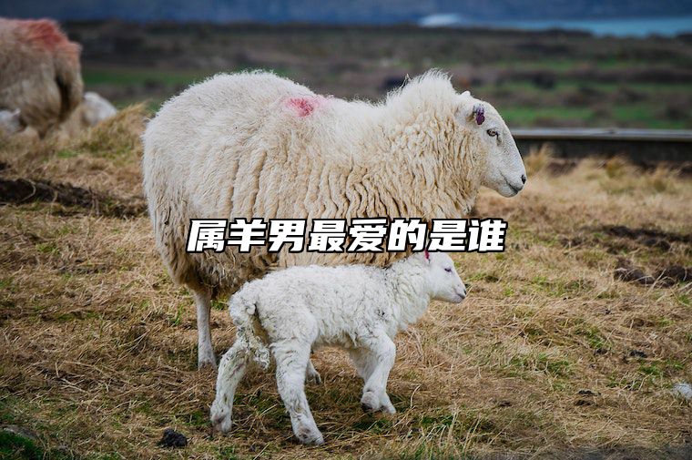 属羊男最爱的是谁 属羊男的真爱