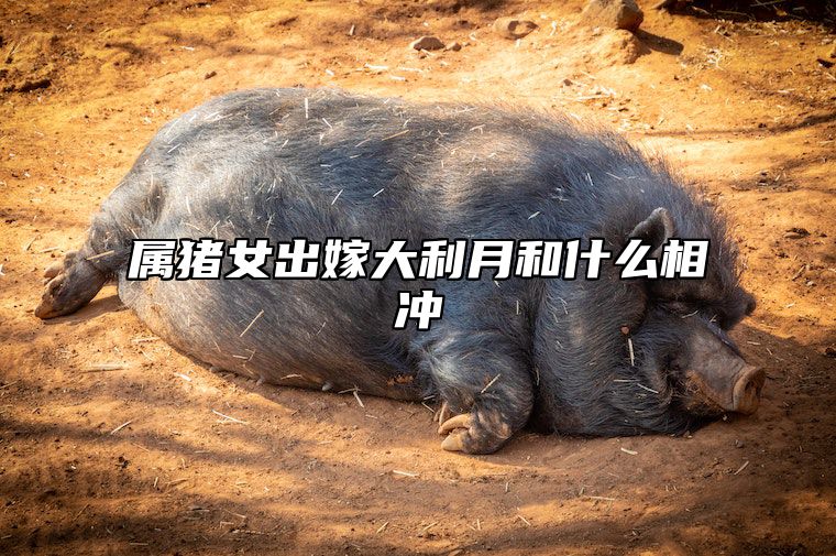 属猪女出嫁大利月和什么相冲 肖猪女行嫁大利月