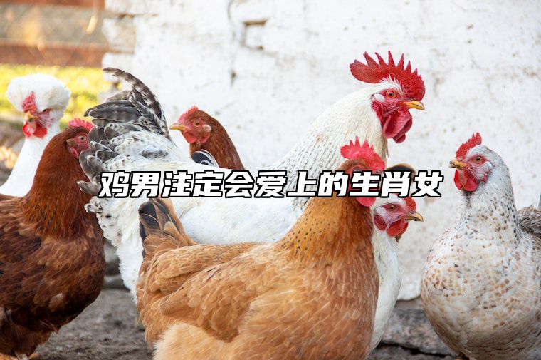 鸡男注定会爱上的生肖女 2024年属鸡有两喜缠身