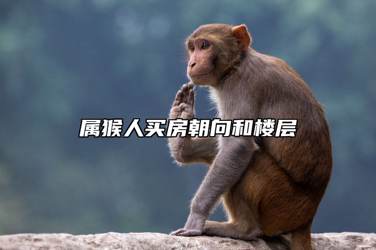 属猴人买房朝向和楼层 属猴买房方位和楼层