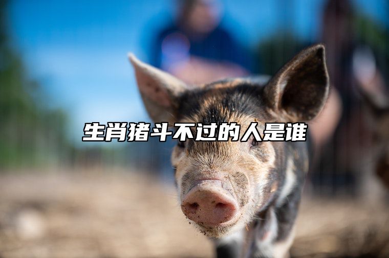 生肖猪斗不过的人是谁