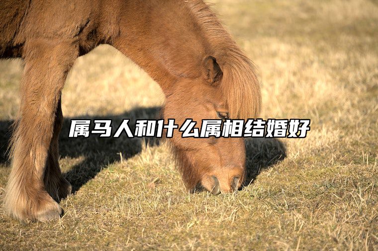 属马人和什么属相结婚好 属马和属什么最相配结婚?