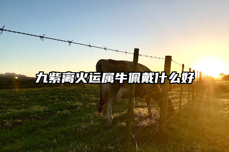 九紫离火运属牛佩戴什么好 九紫离火运对火命人
