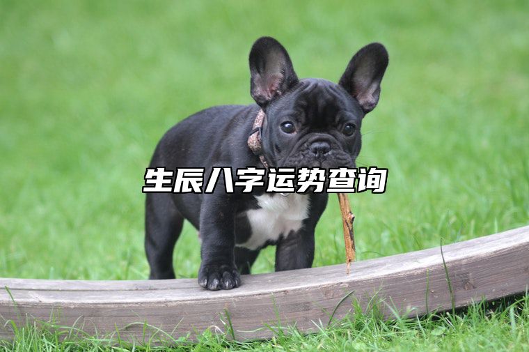 1988年属龙农历十一月十一出生命运好吗,生辰八字运势查询