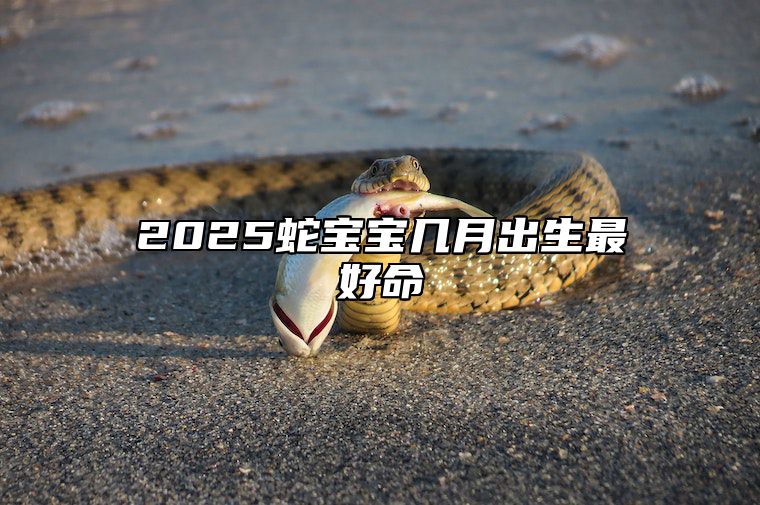 2025蛇宝宝几月出生最好命 2026年马宝宝几月出生最好