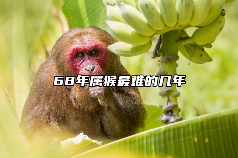 68年属猴最难的几年 68年属猴的哪年运势差