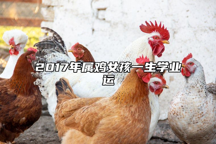 2017年属鸡女孩一生学业运 17年属鸡女的命运
