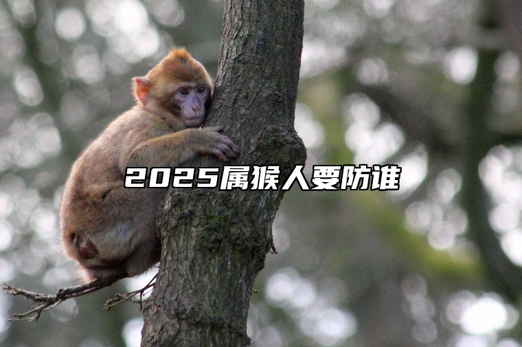 2025属猴人要防谁 生肖猴2025年运势