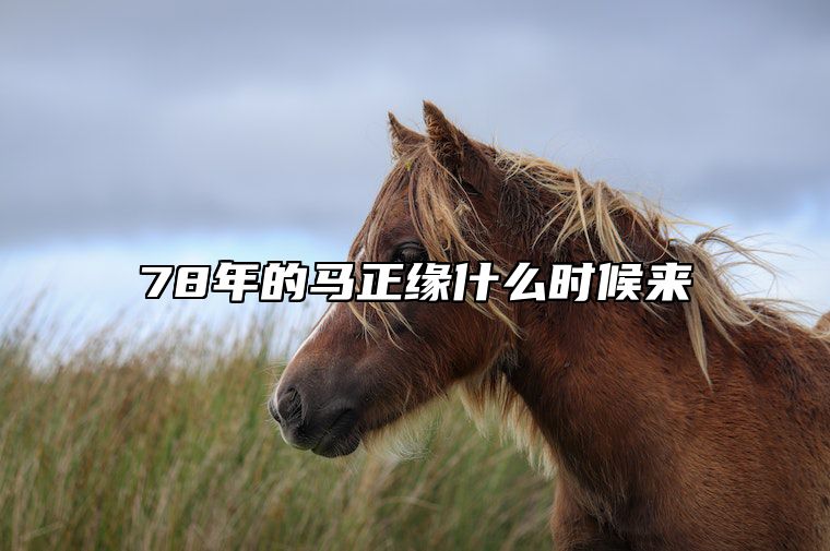 78年的马正缘什么时候来 1978年属马的姻缘什么时候到