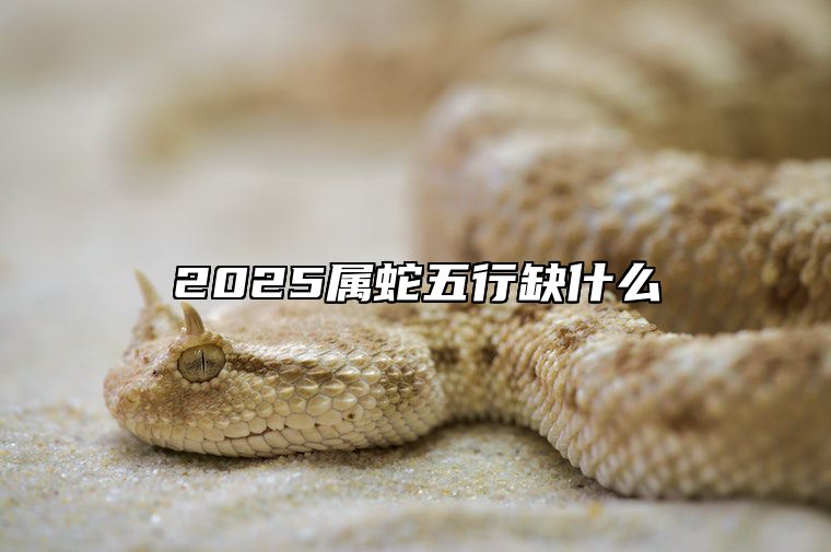 2025属蛇五行缺什么 2025属蛇五行什么命