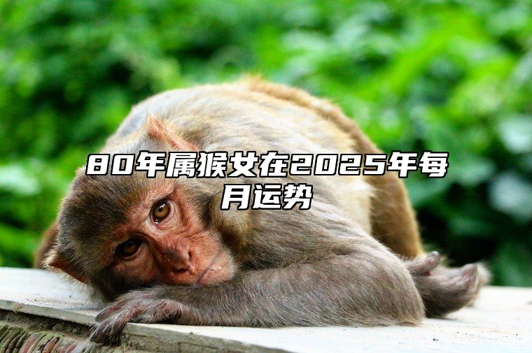 80年属猴女在2025年每月运势 1980年属猴女2025年运势及运程