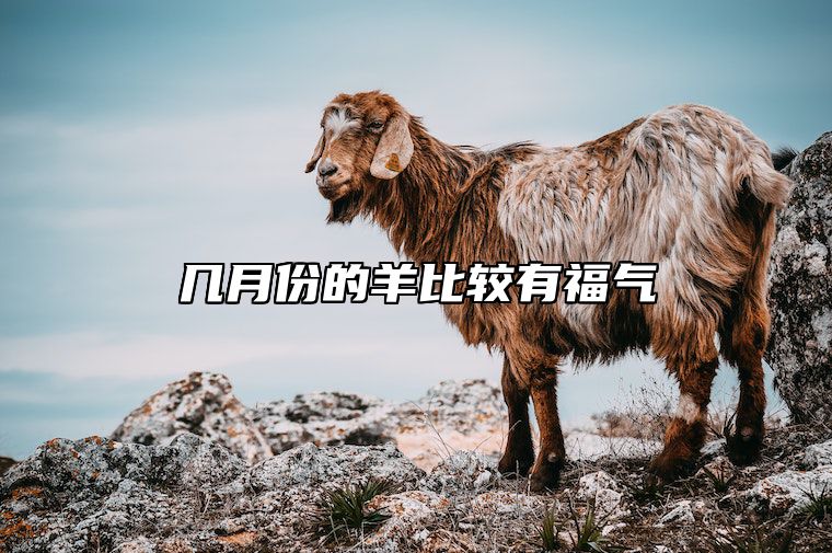 几月份的羊比较有福气 几月份的羊最有福气