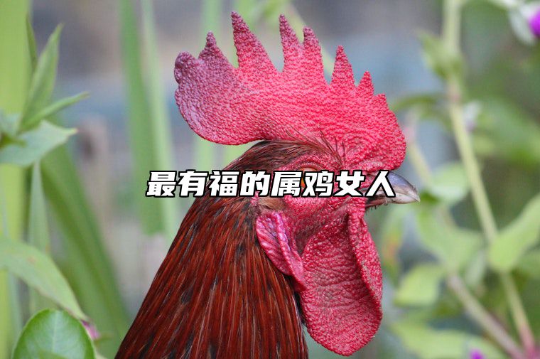 最有福的属鸡女人 最有福的属鸡女人图片