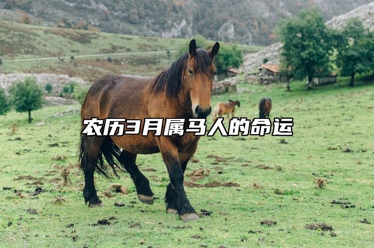 农历3月属马人的命运 农历三月出生的属马人