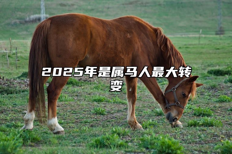 2025年是属马人最大转变 属马2025年多大