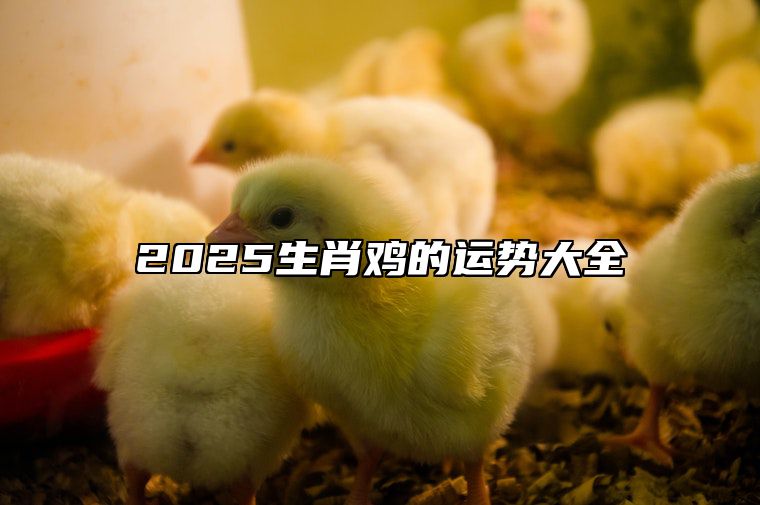 2025生肖鸡的运势大全 2025生肖鸡的运势大全图片