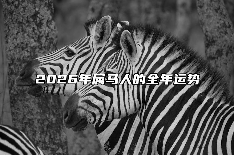 2026年属马人的全年运势 2026年属马人的全年运势超详细