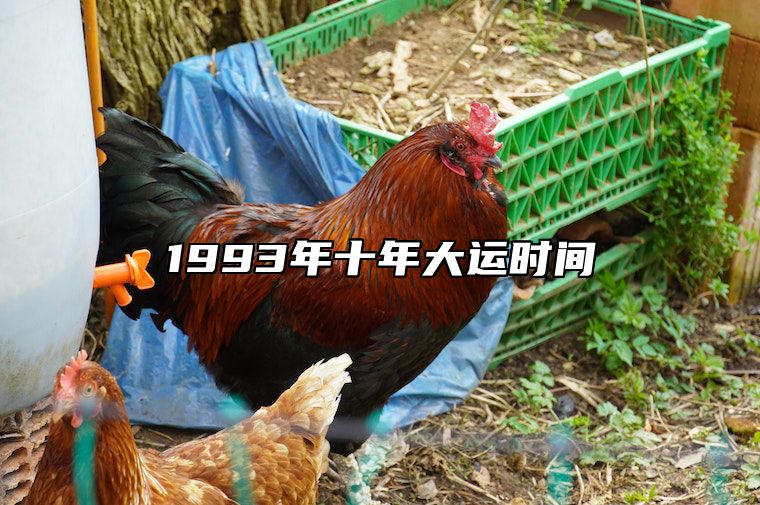1993年十年大运时间 93年的鸡在2024年躲不过的灾