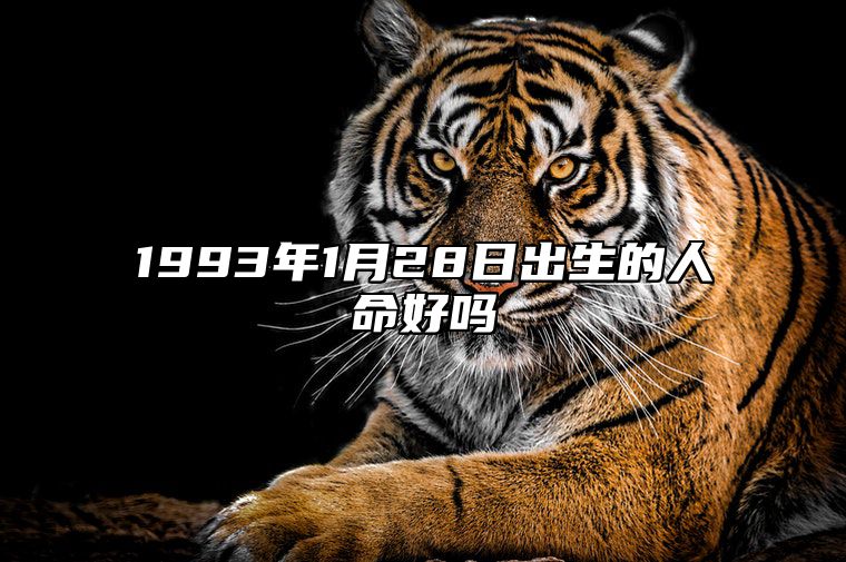1993年1月28日出生的人命好吗 八字五行查询揭示命运
