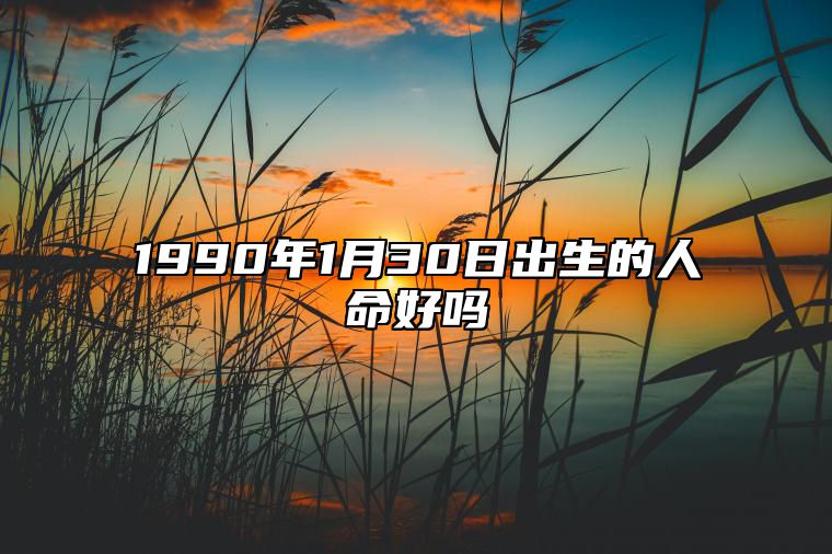 1990年1月30日出生的人命好吗 今日生辰八字运势详解