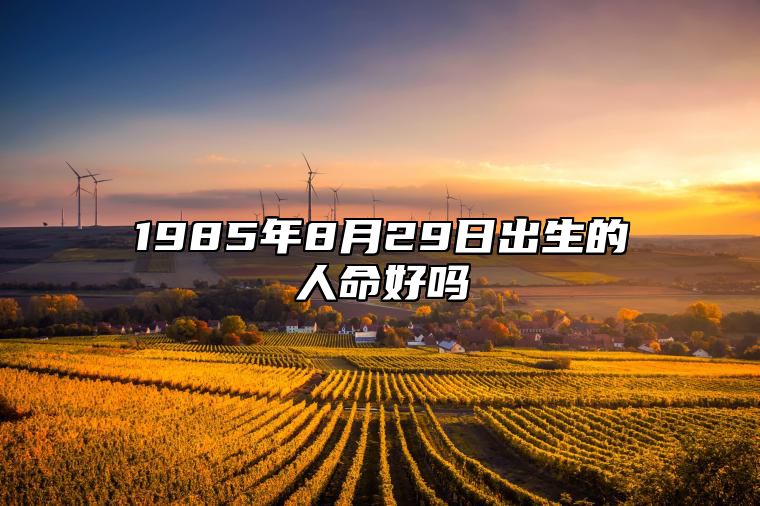 1985年8月29日出生的人命好吗 五行缺什么命运好不好