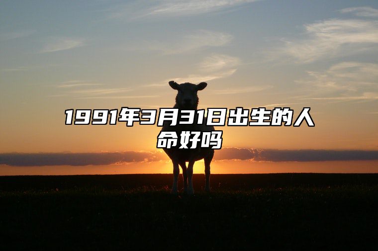 1991年3月31日出生的人命好吗 五行查询