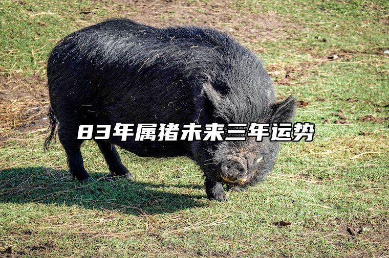 83年属猪未来三年运势 83年属猪未来十年运势