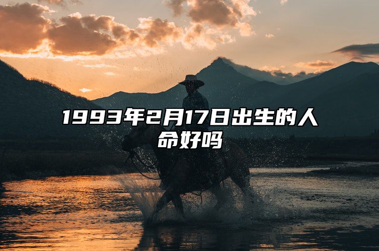 1993年2月17日出生的人命好吗 生辰八字查询