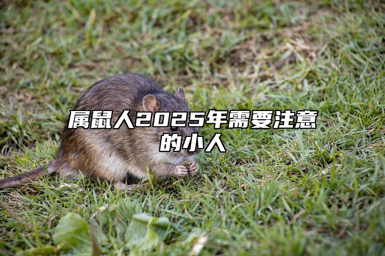 属鼠人2025年需要注意的小人 属鼠人2025年的贵人