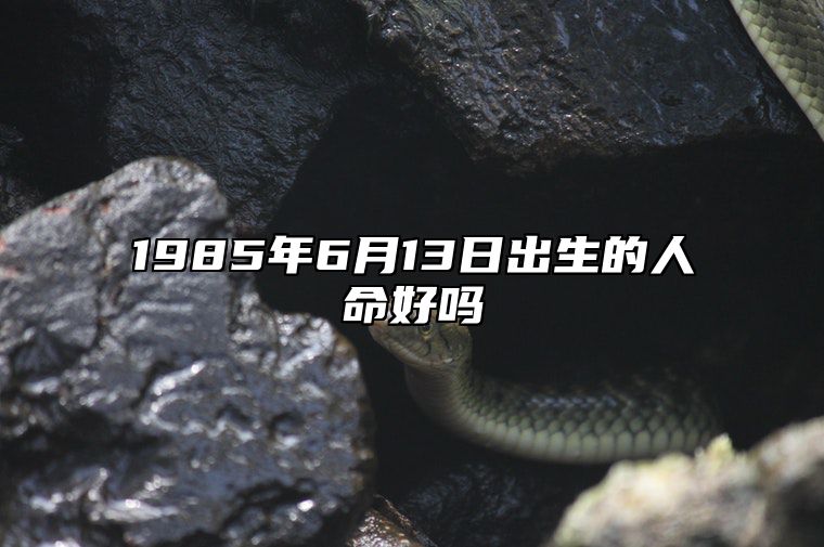 1985年6月13日出生的人命好吗 五行缺什么