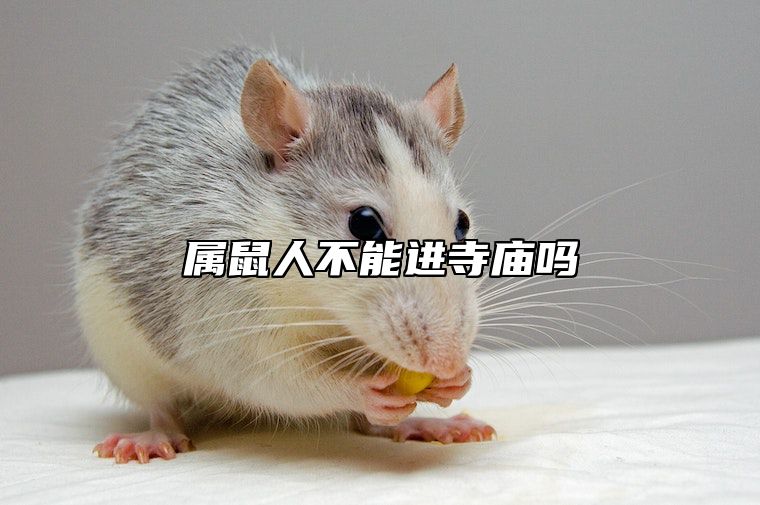 属鼠人不能进寺庙吗 属鼠人不能进寺庙吗
