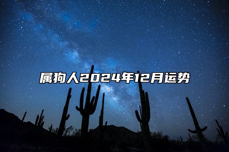 属狗人2024年12月运势 生肖狗在2024年的运势以及注意月份