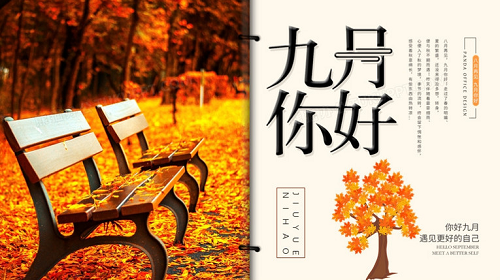 属蛇2024年9月运势如何呢