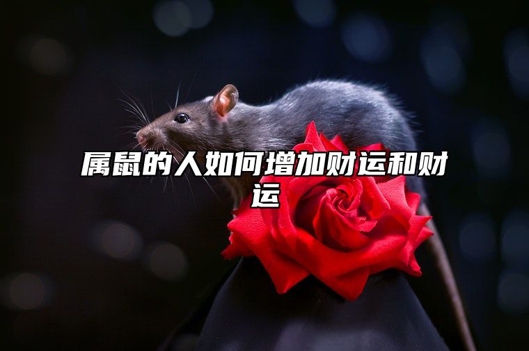 属鼠的人如何增加财运和财运