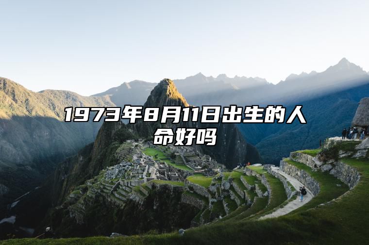 1973年8月11日出生的人命好吗 生辰八字运势、婚姻、事业分析