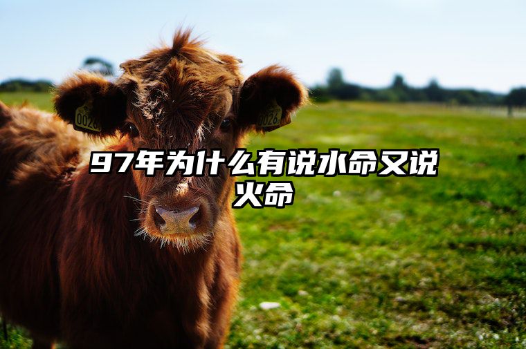 97年为什么有说水命又说火命 97年属牛人一生的命运