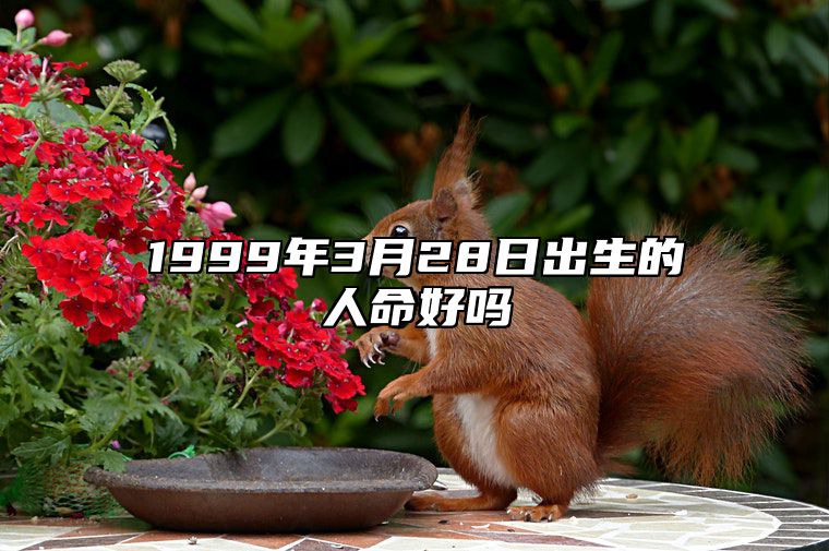 1999年3月28日出生的人命好吗 五行查询