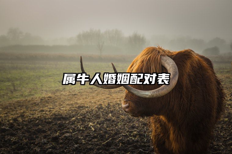 属牛人婚姻配对表 生肖牛遇见爱情的最好年龄是?